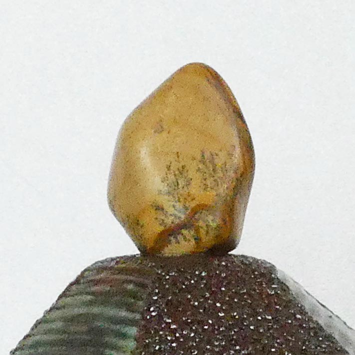 Fossile sur boîte sculptée